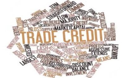 Navigating Trade Credit Risk: What Global Approval Trends Mean for Irish Food and Drink SMEs