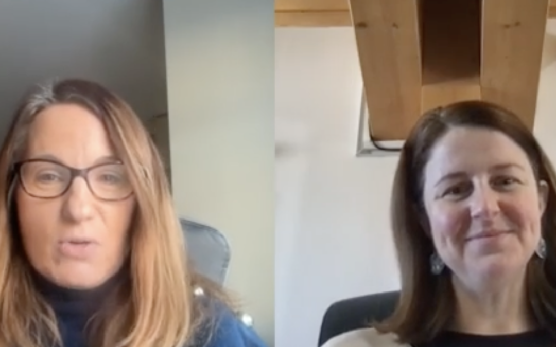 Sowing Skills – How School Gardens Are Shaping Ireland’s Future Growers